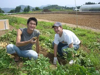 Farm Assistant Job in New Zealand