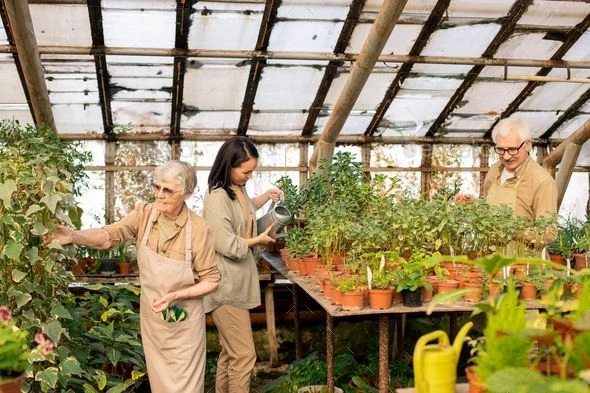 Greenhouse Worker Job in Canada