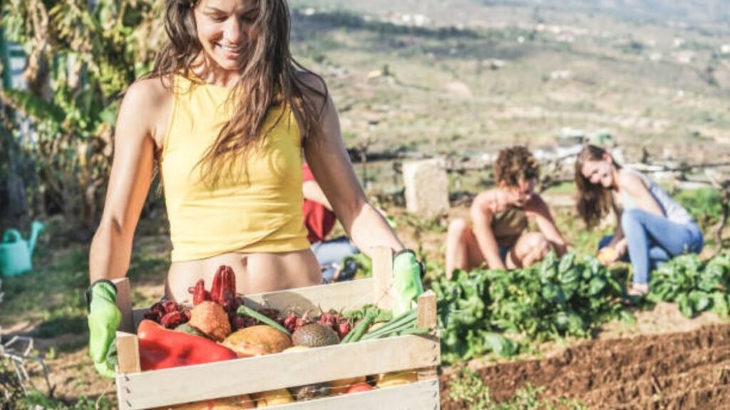 Fruit Farm Jobs in Australia