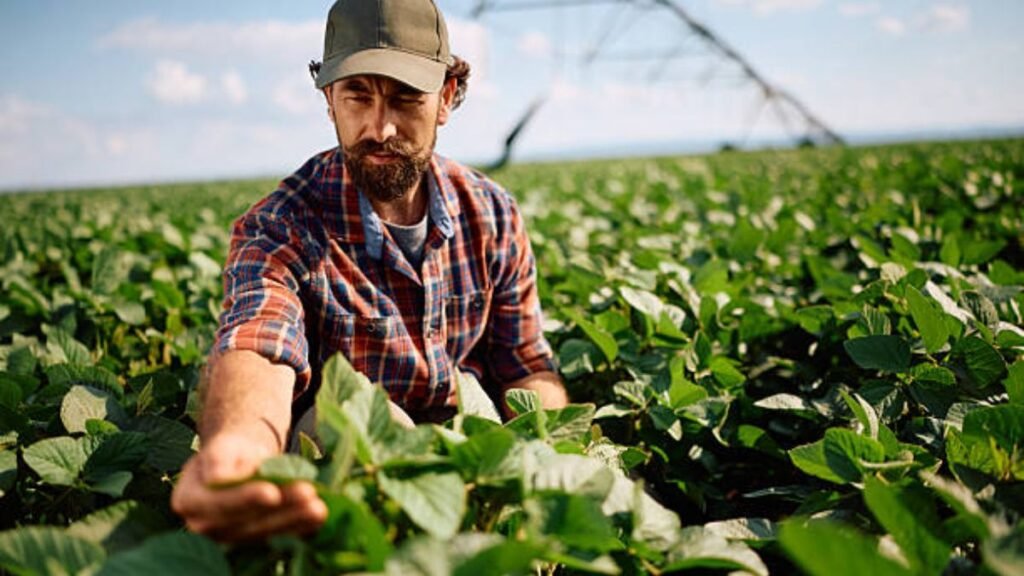 Farm Assistant Jobs in Spain