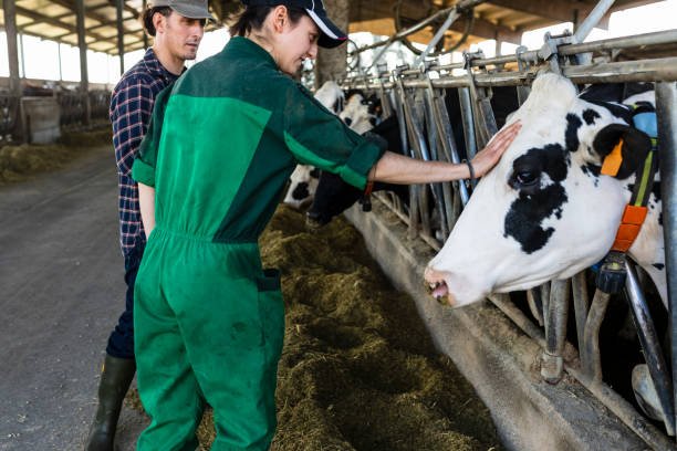 General Livestock Farming Jobs in Italy