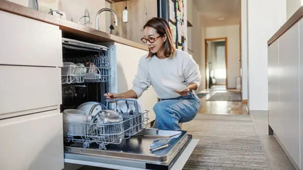 Dishwasher Job in Spain